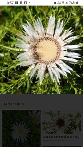 Screenshot_20210328-105728_Chrome