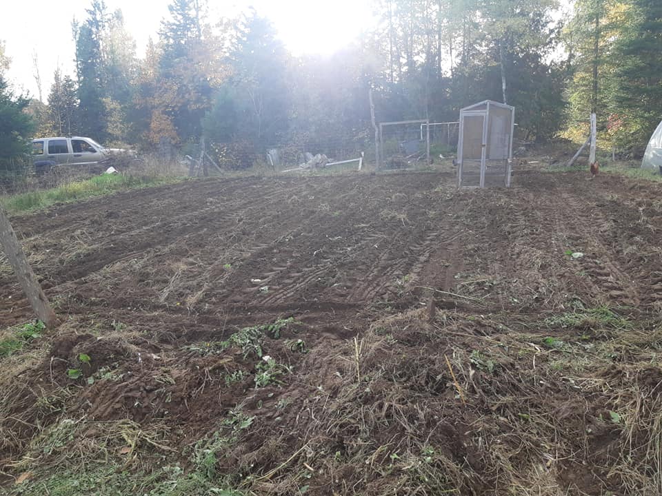cultivated garden