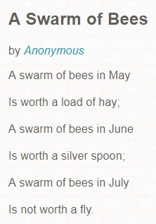 Swarm Poem