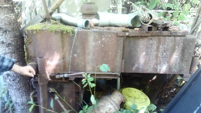 KIMG2381